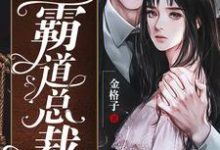 免费看小娇妻的霸道总裁小说的网站有哪些?-乐读文学