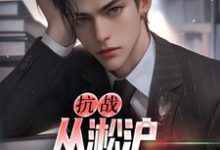 想读叶青山的故事,哪里可以免费找到抗战:从淞沪保卫战开始?-乐读文学