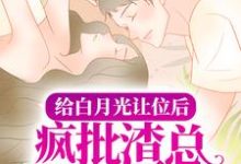 陆景琛沈凝小说《给白月光让位后,疯批渣总却不肯撒手》在线阅读-乐读文学
