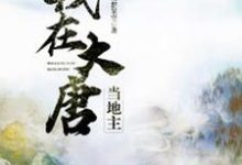 免费看我在大唐当地主小说的网站有哪些?-乐读文学