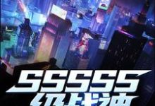 叶尘是哪本书的主角?寻找SSSSS级战神免费阅读-乐读文学