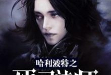 主角雷古勒斯达芙妮赫敏莎拉小说完结版在线阅读,哈利波特之死灵法师免费看-乐读文学