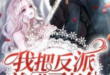 主角时绎苏晗落小说完结版在线阅读,我把反派养成了老公免费看-乐读文学