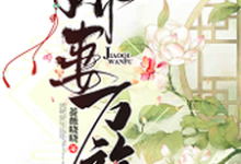 娇妻万福免费阅读,娇妻万福石锦绣宇文炎-乐读文学