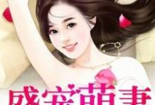 已完结小说《盛宠萌妻》最新章节-乐读文学
