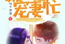 霸道总裁宠妻忙这本小说怎么样?免费在线阅读试试-乐读文学