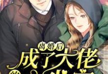 离婚后,成了大佬的心尖宠沈卿意傅尧琛在线章节免费阅读-乐读文学