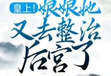 小说《皇上!娘娘她又去整治后宫了》在线章节阅读-乐读文学