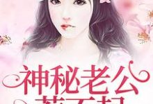 神秘老公惹不起小说,神秘老公惹不起免费阅读-乐读文学