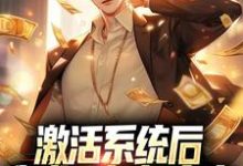激活系统后,我成了超级富豪小说完结版章节免费阅读-乐读文学