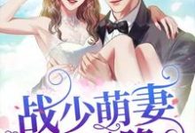 战少萌妻从天降小说的所有章节都能在哪里免费读到?-乐读文学