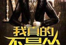 我真的不是怂小说阅读,我真的不是怂完结版-乐读文学