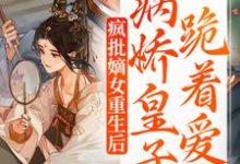 疯批嫡女重生后,病娇皇子跪着爱小说全文哪里可以免费看?-乐读文学