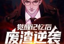 陈路小说叫什么(觉醒记忆后,废渣逆袭都市神医免费阅读)-乐读文学