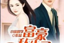富豪私生子(陆海晨叶雪辰陆鸿图黑水仙)在线免费阅读-乐读文学