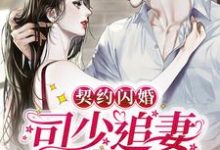 契约闪婚:司少追妻火葬场小说最新更新在哪里?免费在线看-乐读文学