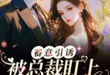 小说《蓄意引诱!被总裁盯上的日日夜夜》在线章节阅读-乐读文学