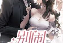小说《别闹,战先生》在线章节阅读-乐读文学