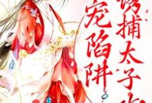 姜怜衣沈临魏洐之为主角的小说好看吗?免费读甜宠陷阱:诱捕太子攻略-乐读文学