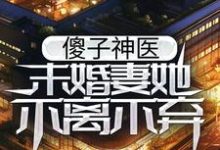 《傻子神医:未婚妻她不离不弃》小说章节列表免费试读,楚元宋南伊小说在线阅读-乐读文学