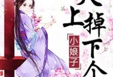 想读苏妗纪洛李珩的故事,哪里可以免费找到天上掉下个小娘子?-乐读文学