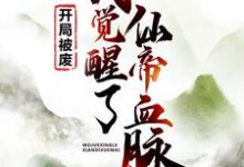 开局被废,我觉醒了仙帝血脉小说无弹窗阅读的网站推荐-乐读文学