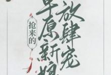 乔灵儿赤烈尧为主角的小说叫什么?免费看抢来的草原新娘放肆宠-乐读文学