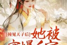 免费看撞见天子后,她被宠爆后宫小说的网站有哪些?-乐读文学