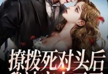 林柠祁嵊为主角的小说好看吗?免费读撩拨死对头后,我被宠上天了-乐读文学