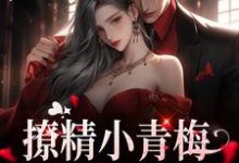 已完结小说《撩精小青梅:竹马队长超宠》章节免费阅读-乐读文学