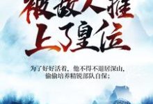 被追杀的我,被敌人推上了皇位小说最新更新在哪里?免费在线看-乐读文学