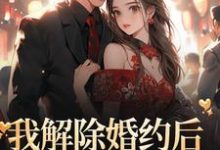 我解除婚约后,带男模上综艺小说全文阅读需要付费吗?寻找免费资源-乐读文学