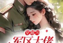 穿越70:军区大佬宠疯了姜颜司律小说在线章节免费阅读-乐读文学
