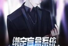 小说《绑定盲盒系统,穷屌丝也能变首富》在线章节阅读-乐读文学