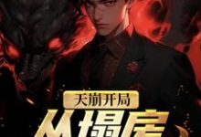小说《天崩开局!从塌房明星开始》章节免费阅读-乐读文学