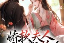 娇软夫人不再撒娇后,侯爷他慌了小说有没有完结版在线?-乐读文学