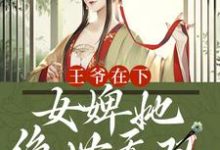 王爷在下:女婢她绝世无双 姜小猫云璟小说在线章节免费阅读-乐读文学