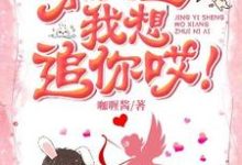主角叫唐果果景朝阳的小说在哪阅读-乐读文学