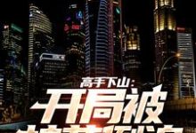 高手下山:开局被校花倒追这本小说在哪里可以看?哪里有免费试读章节?-乐读文学