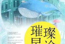 萧嘉鱼穆晨辛月为主角的小说叫什么?免费看璀璨星途-乐读文学
