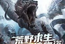 主角江白慕灵小说完结版在线阅读，荒野求生：开局百倍物资免费看-乐读文学