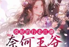 已完结小说《说好的行走江湖,奈何王爷太黏人》章节在线阅读-乐读文学