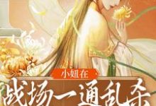 小妞在战场一通乱杀,只为混口饭?小说的免费阅读版本在哪里可以找到?-乐读文学