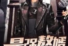 最强赘婿小说,最强赘婿免费阅读-乐读文学