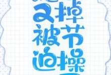 为走剧情,她又被迫掉节操了小说,为走剧情,她又被迫掉节操了章节在线阅读-乐读文学