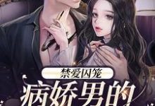 哪里可以免费读到季晏清慕之桃的完整故事?寻找禁爱囚笼:病娇男的独占欲-乐读文学