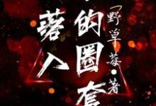 小说《落入他的圈套》在线章节阅读-乐读文学