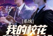 主人公苏渊许安颜小说系统:我的校花舔狗太高冷在线章节阅读-乐读文学