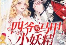 男女主人公边锦段横小说四爷的马甲小妖精有点难搞章节免费阅读-乐读文学