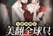 大佬离婚后美翻全球只想当咸鱼这本小说怎么样?免费在线阅读试试-乐读文学